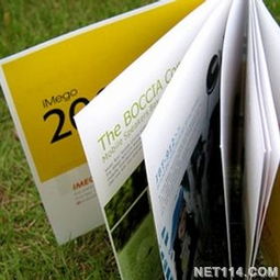 宁波样本设计的艺术与商业价值——专业样本画册设计公司与广告发布服务的深度解析